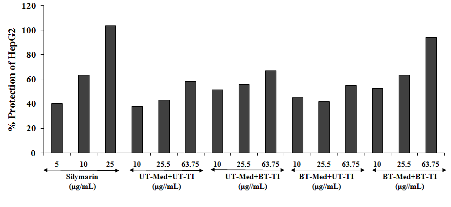 Figure 4: The effect of the test formulation on the percent protection of human liver cancer (HepG2) cells in terms of decreased alanine amino transaminase (ALT) activity under the stimulation of tert-butyl hydroperoxide (t-BHP). UT: Untreated; Med: Medium; BT: Biofield Treated; TI: Test item.