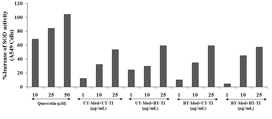 Figure 5: The positive control, quercetin showed improved percentage increase in the SOD activity with respect to the _t_-BHP by 68.4%, 83.9%, and 104.2% at 10, 25, and 50 µg/mL concentration respectively. However, the percent protection of A549 (lungs) cells (increased of SOD activity) was significantly increased by 102.3% and 10.3% at 1 and 25.5 µg/mL respectively, in the UT-Med + BT-TI group, while increased SOD activity by 7.5% and 10.3% at 10 and 25.5 µg/mL respectively, in the BT-Med + UT-TI group, and increased SOD activity by 38.4% and 6.8% at 10 and 25.5 µg/mL respectively, in the BT-Med + BT-TI group as compared to the UT-Med + UT-TI group (Figure 5). Thus, results showed significant increased cellular protection of A549 cells and improved SOD enzyme activity after treatment in various groups. SOD is present in all the body cells, which play a vital role in body defense system. SOD represents high antioxidant activity that showed repair of the cellular damage affected by free radicals, reactive oxygen species (ROS) causing cell death [54]. Thus, experimental data showed that Biofield Energy Treatment has significantly improved the SOD activity that can be used in various respiratory diseases such as pneumonia, asthma, pulmonary fibrosis, and lung cancer.