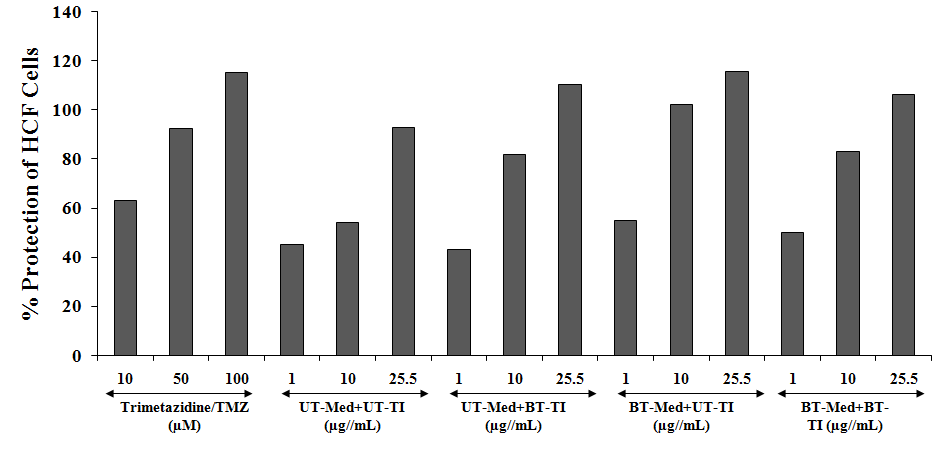 Figure 3: The effect of the test formulation on the increased percent protection of HCF cells (i.e. decreased lactate dehydrogenase) activity against tert-butyl hydroperoxide (t-BHP) induced damage. TMZ: Trimetazidine; UT: Untreated; Med: Medium; BT: Biofield Treated; TI: Test item.
