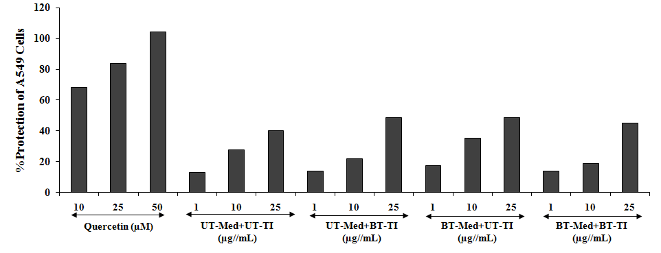 Figure 5: Percent cellular protection of lungs cells (A549) in terms of increased SOD activity under the stimulation of tert-butyl hydroperoxide (t-BHP). UT: Untreated; Med: Medium; BT: Biofield Treated; TI: Test item.
