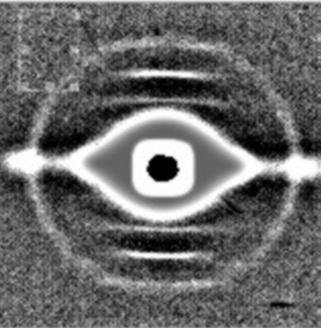 Figure 5: Whiskers patterns (a) before and (b) after.