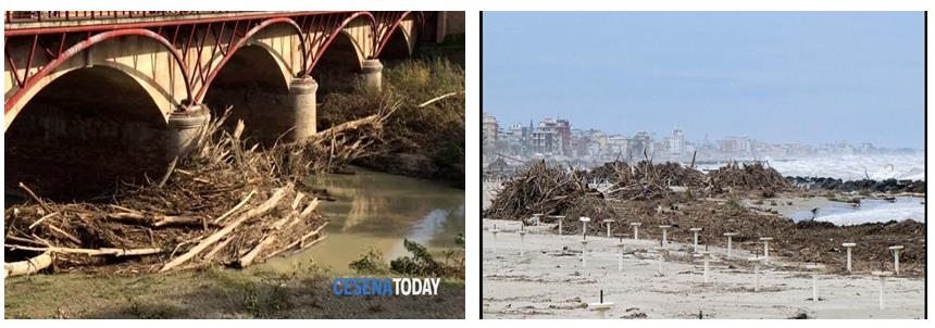 Figure 3: Accumulation of wood detritus under a bridge, Cesena, and at sea shore, Rimini, in a 2019 storm event in northern Italy.