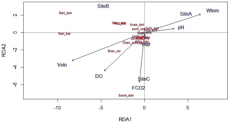 Figure 8: Dendrogram of cluster analysis comparing sampling sites on the basis of fish assemblage.