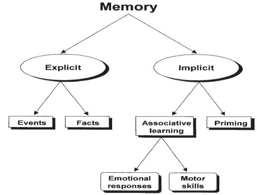Figure 1: Classification of Memory.