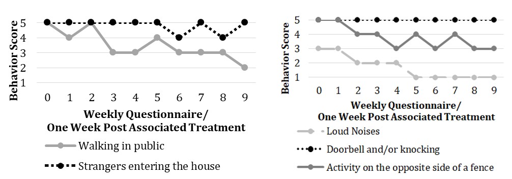 Figure 2: Dog V’s reactivity as reported by the owner via weekly questionnaires, with 1 being not reactive and 5 being very reactive.