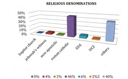 Figure 5: Shows the parity of the respondents in percentages.