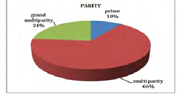 Figure 7: Is the employment status of the respondents in percentages.