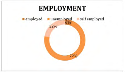 Figure 9: Represents the occupation of the respondents husband’s in percentages.