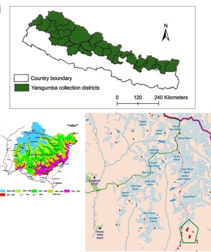 Figure 1: Study Area: Buffer Zone of Makalu Barun National Park