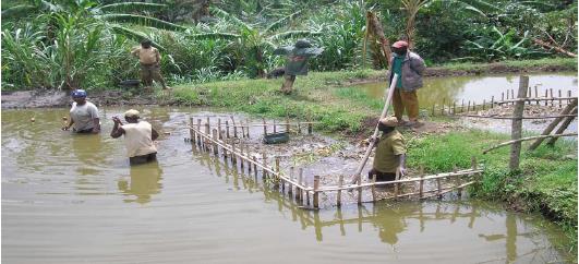 Figure 2: Example of small scale fish pond in Cameroon [3].