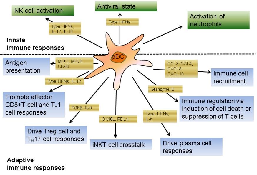 Figure 1: Diverse mechanisms of pDC.