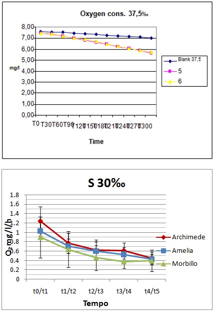Figure 3: Oxygen consumption at salinity 37.5.