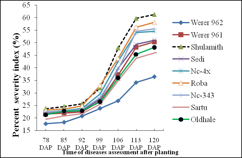Figure 1: Disease severity of rust under natural infection on groundnut varieties evaluated for their reaction on different assessment days at Babile in 2010 main cropping season. Consistent findings were reported by Bromfield and Cevario (1970). Differences in mean disease severity could be due to variation in the pathogen,could be responsible where interaction between host pathogen and environment or variation within the host species. Thus this work was consistent with the previous findings. In Ethiopia, there were no promising varieties screened against rust infection. This current investigation implies the need for further studies. Area under disease progress curve (AUDPC): The area under disease progress curve (AUDPC) is a very convenient summary of plant disease epidemics that incorporates the initial intensity, the rate parameter and the duration of the epidemic which determines the final disease intensity [13]. Hence the effects of disease resistance on disease progress on crops can be evaluated using AUDPC Boiteux (1995) [14] also used AUDPC as a criterion for resistance by comparing AUDPC values of many genotypes with that of a resistant variety. Thus this study was used the following parameters for classifying the varieties into susceptible or resistant categories. The