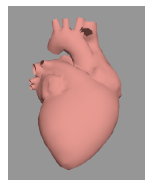 Figure 10: Heart model based on a “smooth triangles” data set (by Bob Hughes).