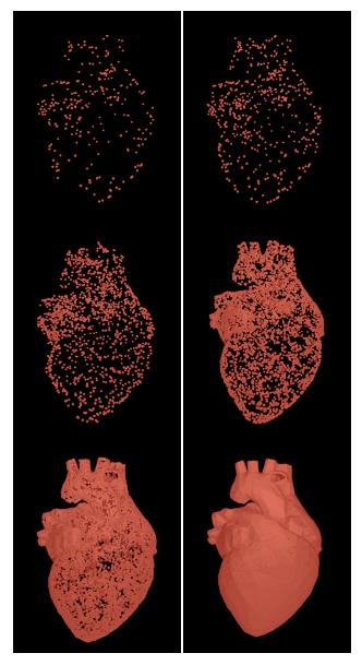 Figure 12: Heart generation steps by random cells in ordinary triangles (POV-Ray 3.7 rendering). View Animation (requires internet connection)