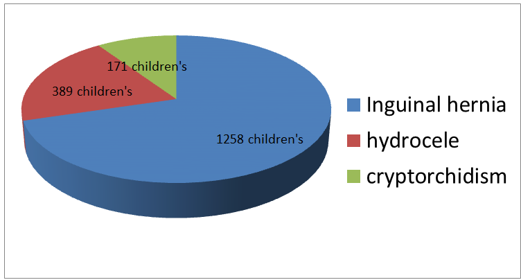 Figure 1: Structure of the pathology.
