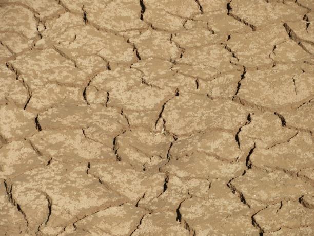 Figure 8: Dunes of the Sahara stretching south into Africa.