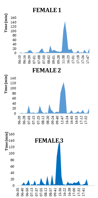 Figure 11: Attempts to capture prey by three females of R. sociabilis between 06:00 and 18:00, in the Escobalito lagoon, of Toluviejo, Sucre.