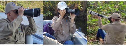 Figure 2: Equipment used for the observation of the activity of the hawks in the Escobalito lagoon of Toluviejo, Sucre, Colombia.