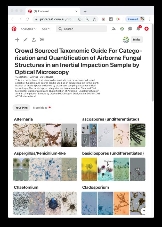 Figure 1: Visual search results for the Pinterest board showing some of the spore categories.