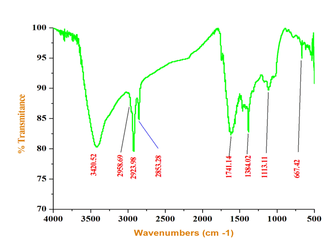 Figure 4: FT-IR spectrum of synthesized AgNPs using Anisomeles indica leaf extract.