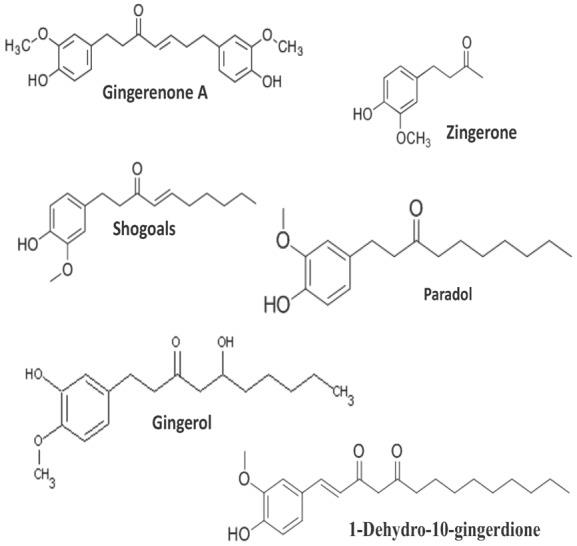 Figure 1: Mineral Composition of the Ginger.