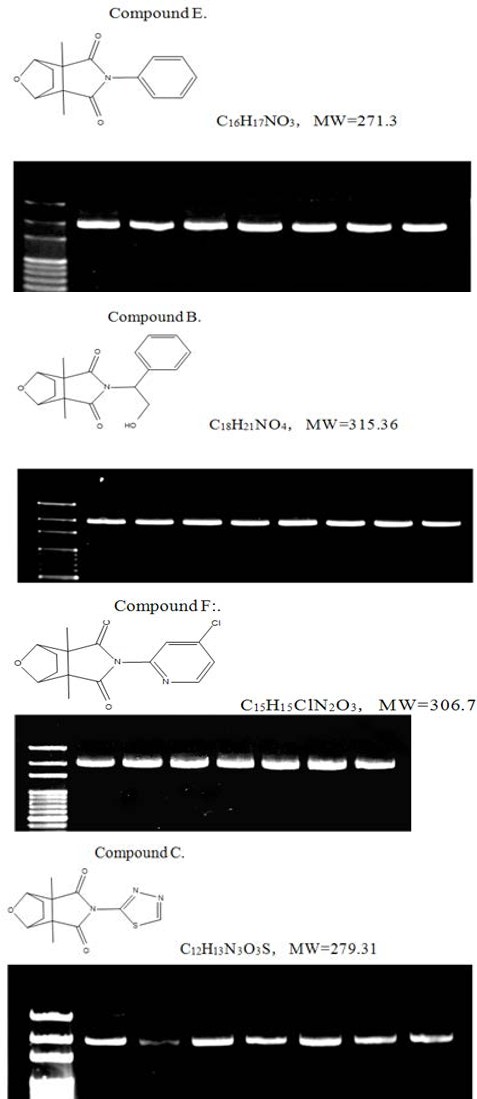 Figure 19