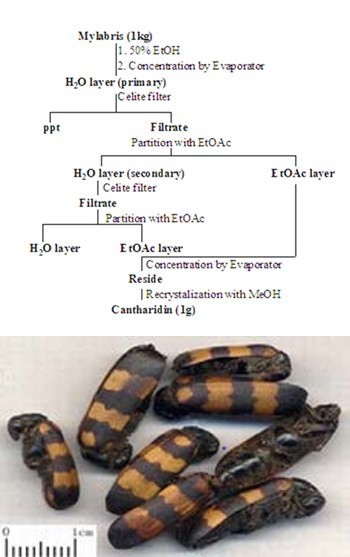 Figure 2: 1).