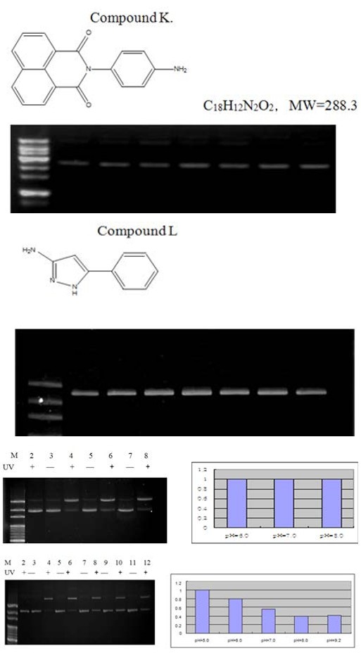 Figure 21