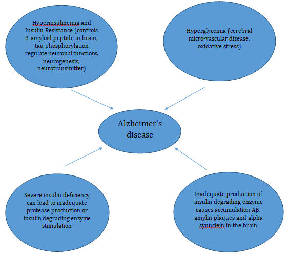 Figure 1: Causes and risk factors of Alzheimer’s disease originated by diabetes.