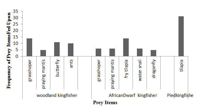 Figure 4: Different prey Items fed upon by Kingfisher at Akinrinade Reservoir.