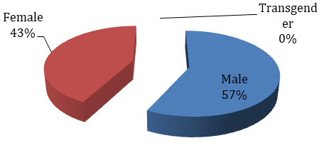 Figure 8: Percentage of Patients according to Gender.