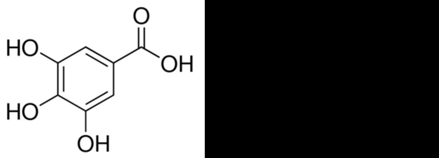 Figure 3: Plants studied in lung cancer.