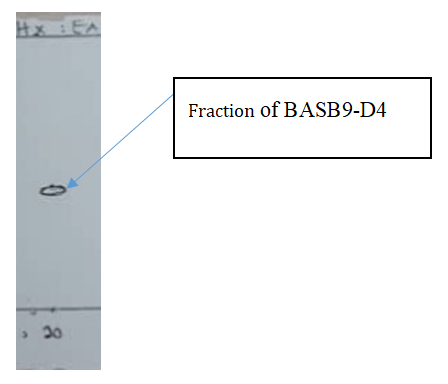 Figure 2: TLC plate showing the spot in fraction of BASB9-D4 in hexane: EA (9:1).