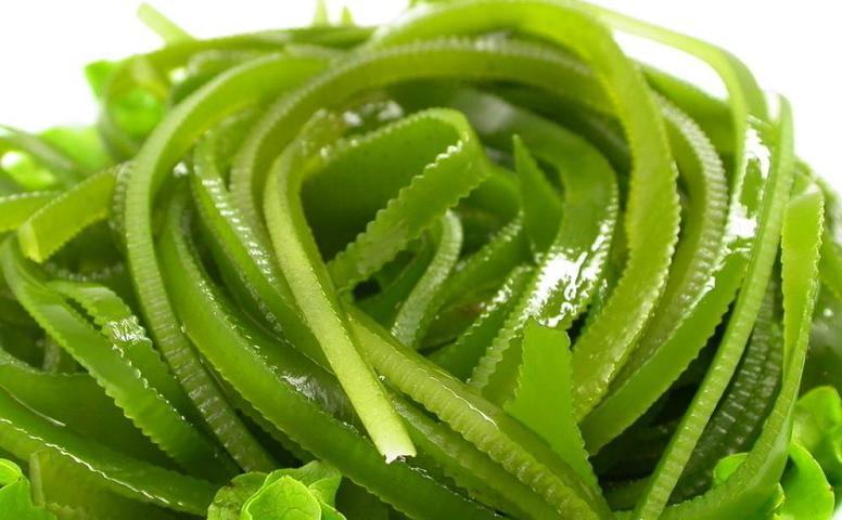 Figure 8: Laminaria japonica. (Source: TCM Herbs)