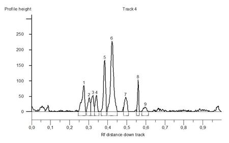Figure 1: The example of the output analysis by the Gene Tools software.