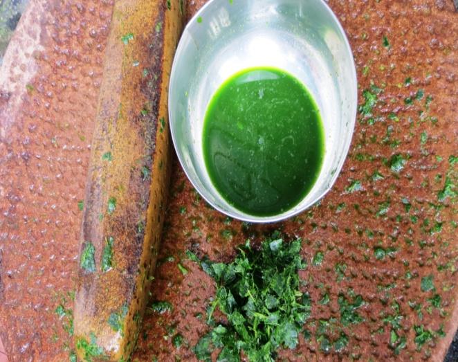 Figure 4: Leaf juice of Jasminum sambac (in bowl), bowl is upon a ‘shil pata’.