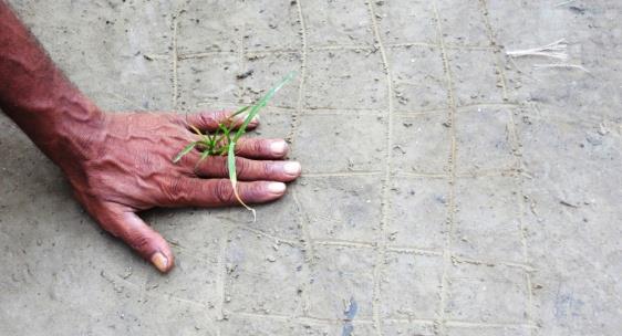 Figure 5: The ‘ojha’ wearing the ring with his hand on a rectangle drawn on the ground (arrow).