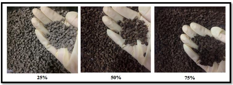 Figure 2: Condition of the different pellet formulation after 6 months’ time.