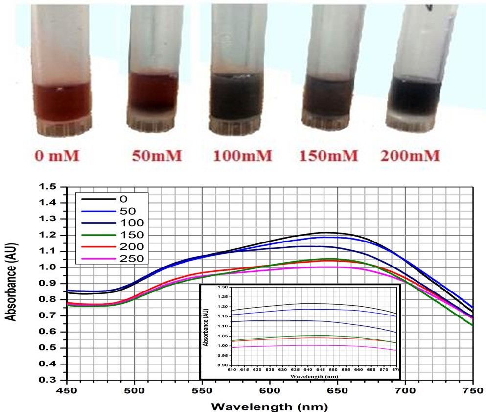 Figure 2: A. Photographs of GNPs solutions in the presence of urea with different concentration. B. UV-Vis absorption spectra of AuNPs in the presence of different concentrations of urea. Expanded view of absorption values (inset image).