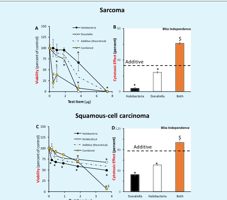 Figure 1: Haloferax volcanii and Dunaliella synergistic act against human skin cancer cells. A. Sarcoma cells were treated w/o or with increasing concentrations of Haloferax volcanii, Dunaliella, or both. 24 hr later, the impact on sarcoma cell viability was determined by MTT. B. Cytotoxic impact of selected amount (0.92 µg). C&D, similar procedure in SCC. n=4, *p<0.05 in comparison to control; $ indicates synergy.
