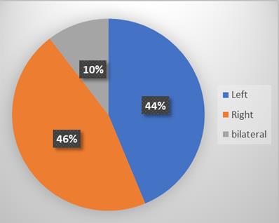 Figure 3: Distribution of patients by tumor localization (n=48).