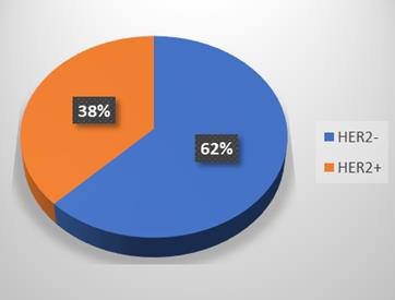 Figure 7: Distribution of patients according to HER 2 receptors.