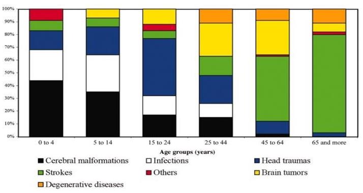 Figure 2: Proportion of epilepsy cases according to the etiologic categories within age groups.