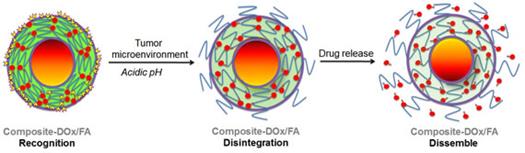 Figure 2: Illustrates the drug release mechanism via functional outcome of the pH response illustrated in the schematic diagram. Image Source: Smart Materials and Biodevice group, Linköping University [1].