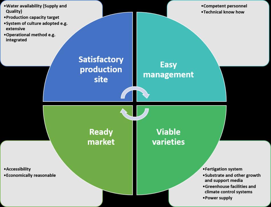 Figure 4: Key determinants to be taken into account when establishing a hydroponic system Meanwhile, with conventional agriculture practices, other environmental issues such as pesticides effect in runoff water, deteriorated physical components of the soil and water quality and increase of soil-borne diseases beside groundwater shortage and non-arable soil are of great concern. Over the past 5 decades, use of pesticide has increased globally by nearly 42 times with the current utilization in the amount of 2.5 million tons annually [6]_._ Also these constraints, altogether responsible for the reasons why only approximately 36% of the global land is suitable for crop production [7]. Growing agricultural production capacity, through the use of hydroponic systems, is foreseen as a promising approach to achieve sustainability in agriculture in this region. There are several advantages obtainable by growing agricultural produce hydroponically. Such benefits include but not limited to the efficient water utilization, reduction in pesticides, increased yields and unrestricted production of food compared to conventional agricultural method all the year round [8]. The key determinants to achieve better productivity in hydroponics are satisfactory production site, easy management, viable varieties, and ready market must be considered (Figure 4). The hydroponic system has considerably expanded in the most recent decade as it adds to the escalation of plant production and gives high harvest yields even in zones with unfriendly growing conditions like the Arabian Peninsula countries. In this review, we aim to discuss: 1. the merits of hydroponics compared with the conventional farming method. 2. The probable limitations that affect the hydroponic system. 3. Nutritional value of phytochemicals accumulation of hydroponic compared to soil grown crops, and 4. The potential future of the hydroponic system compared to the conventional method in the Arabian Peninsula.