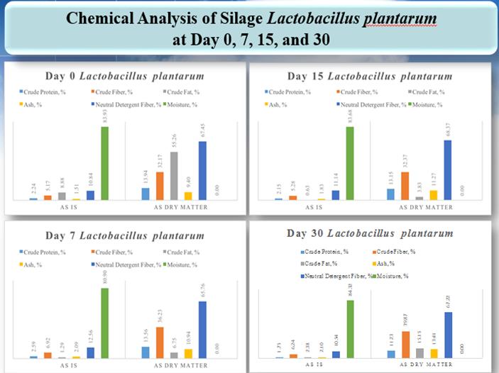 Figure 3: Graphical presentation of super Napier grass silage treated with L. plantarum from day 0 to day 30 of fermentation.