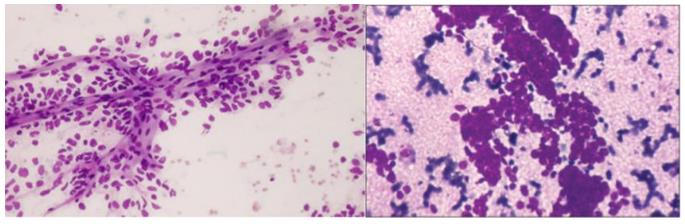 Figure 54