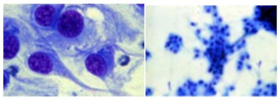 Figure 98