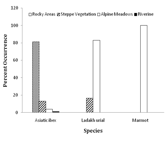 Figure 1: Percent occurrence of herbivore species in different habitat types in the Wakha Valley, Kargil.
